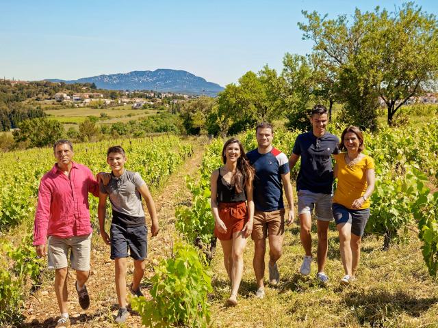 Chemin des Reves domaine viticole