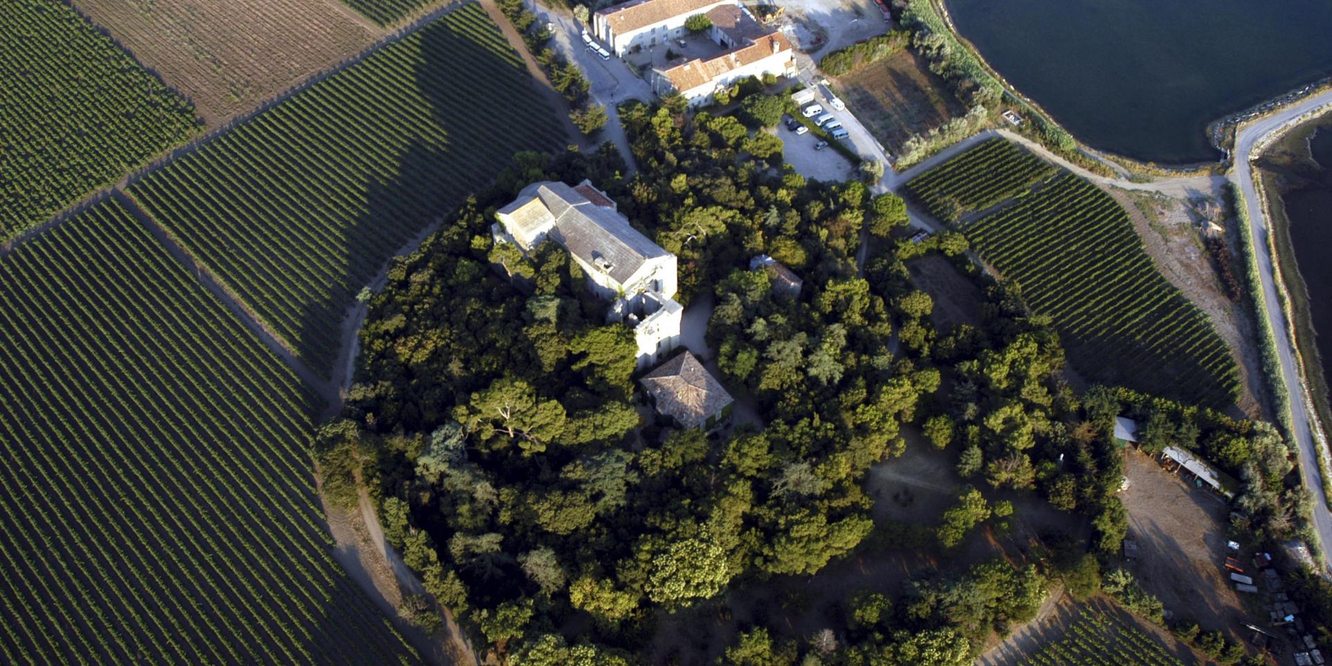 Villeneuve Les Maguelone Cathedrale Vignes Vue Aerienne Metropole