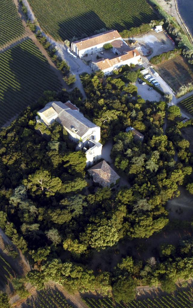 villeneuve-les-maguelone-cathedrale-vignes-vue-aerienne-metropole.jpg