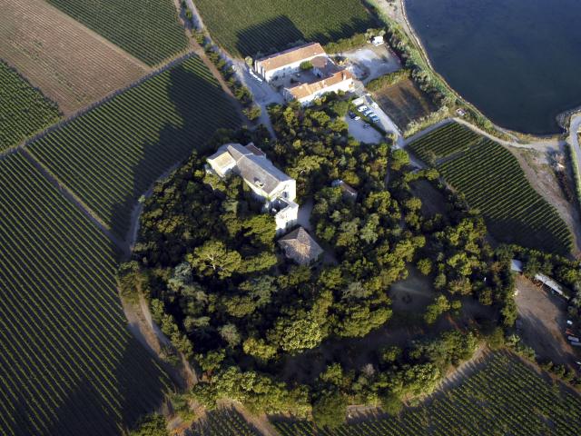 villeneuve-les-maguelone-cathedrale-vignes-vue-aerienne-metropole.jpg