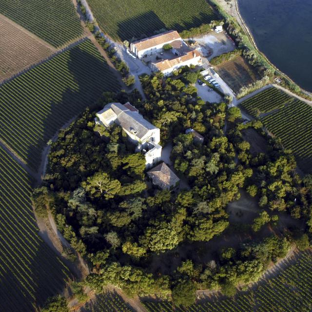 Villeneuve Les Maguelone Cathedrale Vignes Vue Aerienne Metropole