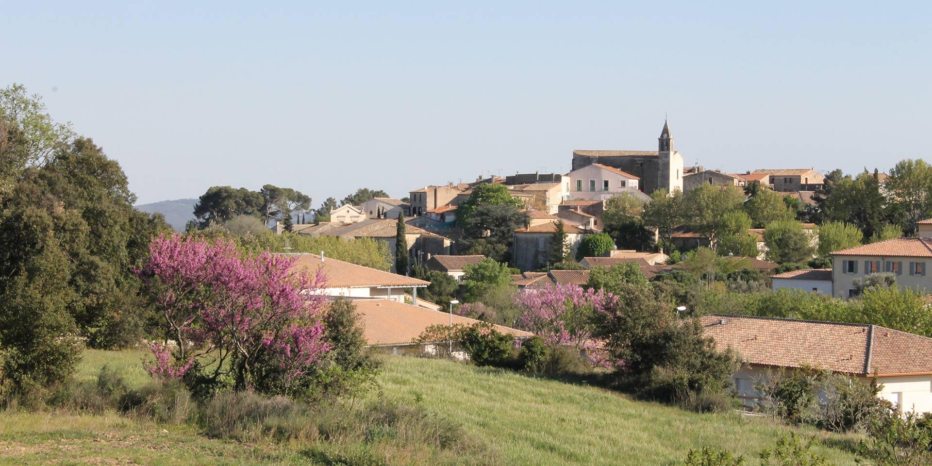 Ville Murviel les Montpellier