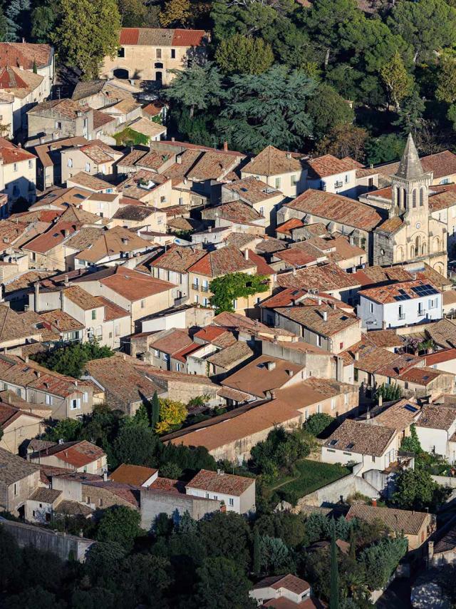 Saint Georges D'orques Vue Du Ciel