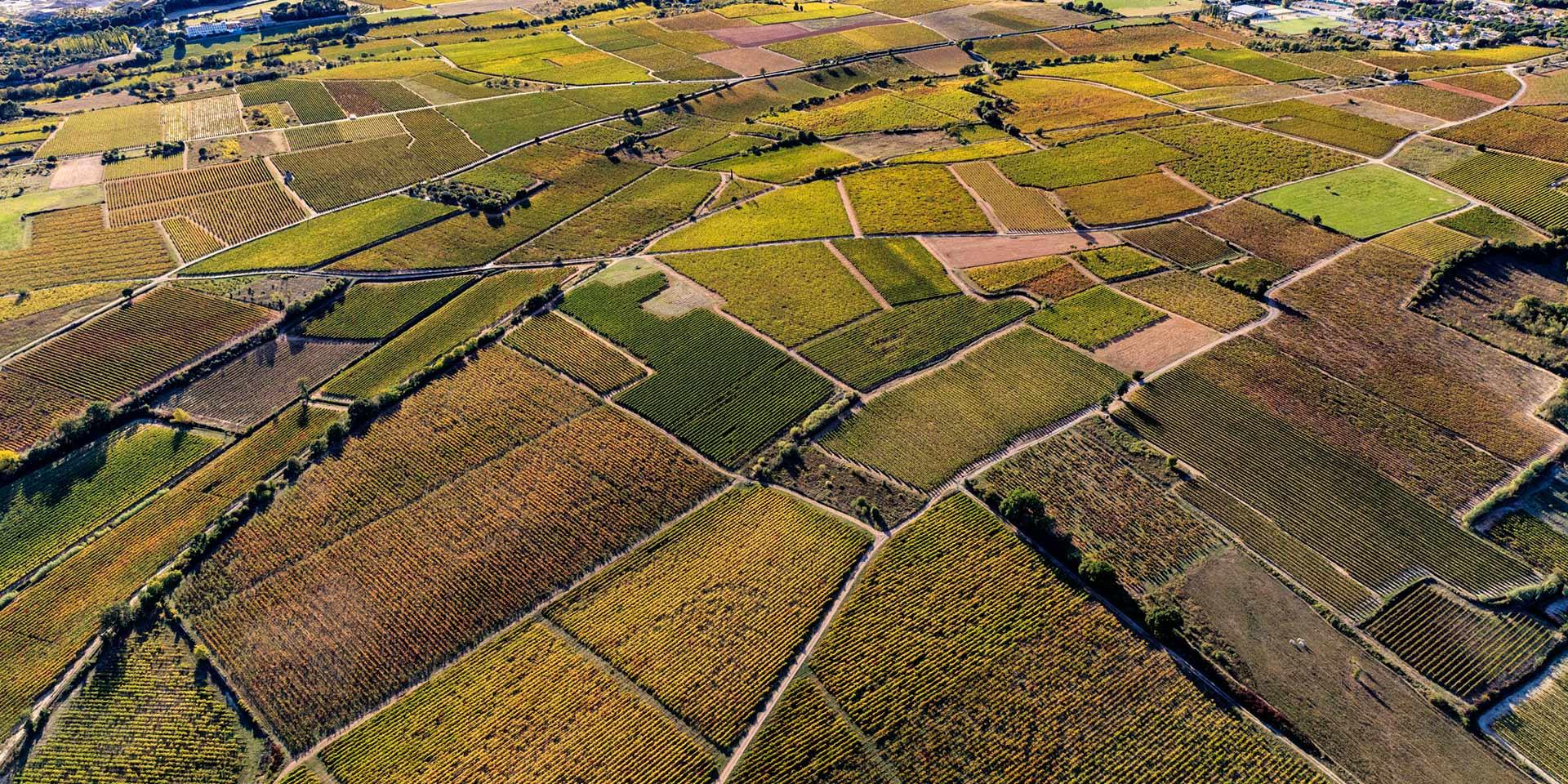 Saint Georges D'orques Vue Du Ciel Vignoble