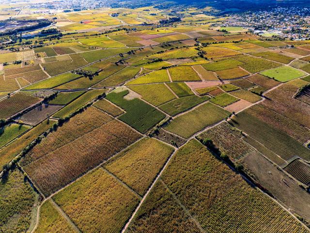 Saint-Georges-dOrques-vue-du-ciel-vignoble-04-©Ch.RuizMontpellier3m-2016.jpg