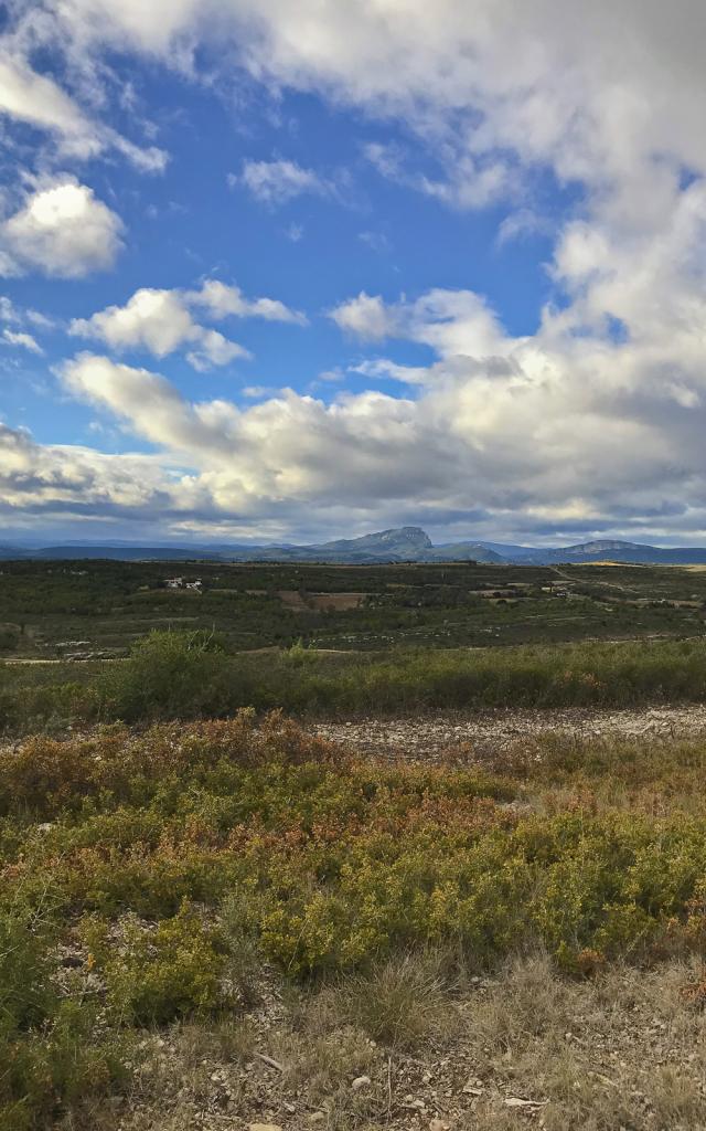 Sentier-serre-rond-Saint-Drezery-Montaud-vue-Pic-Saint-Loup.jpg