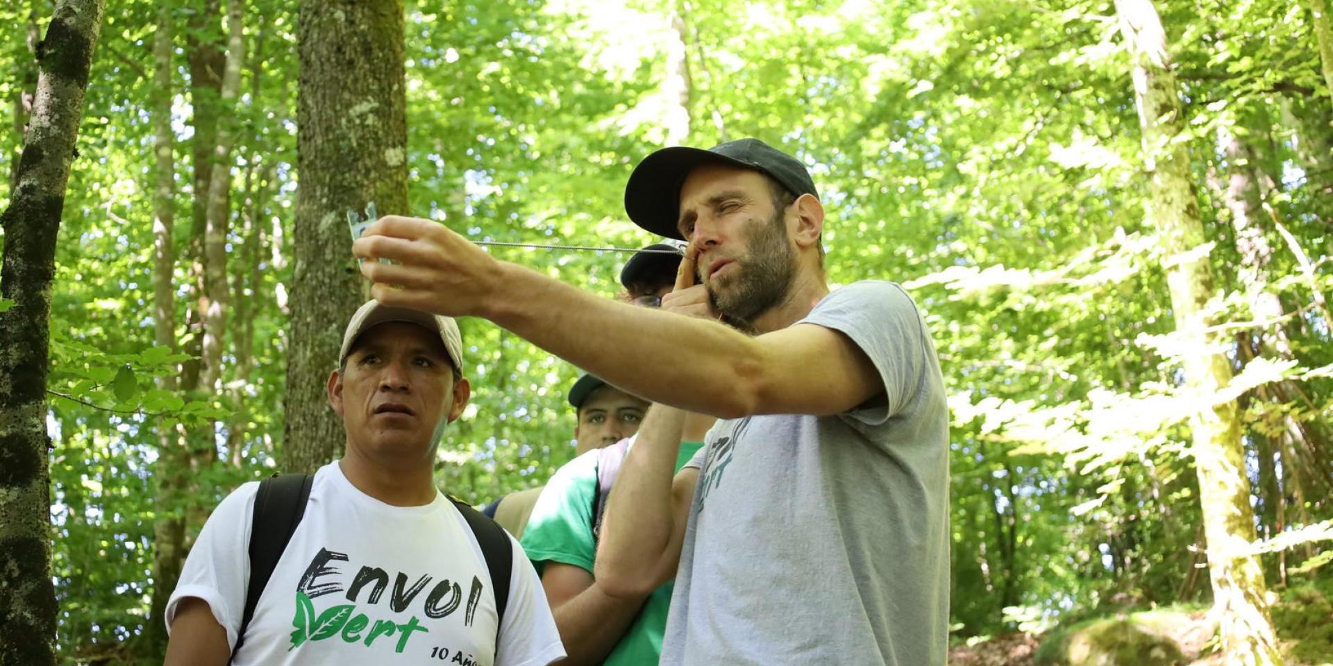 Envolvert Projet terrain pour une sylviculture engagée et vivante (Tarn)