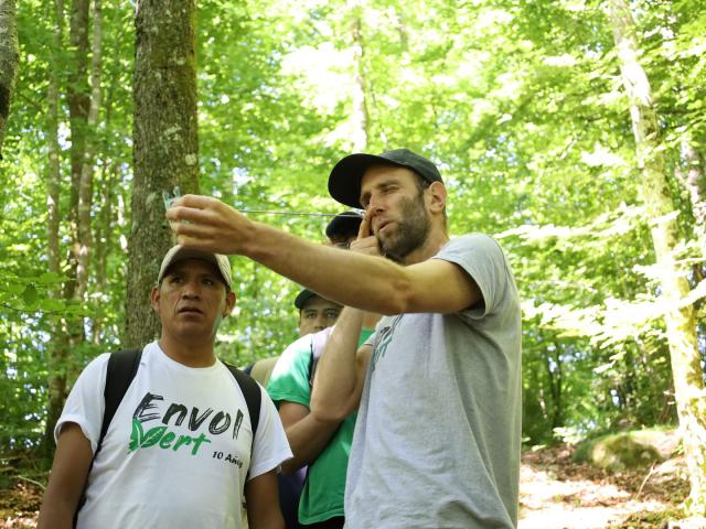 Envolvert Projet terrain pour une sylviculture engagée et vivante (Tarn)