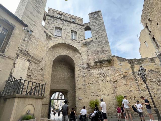 Tourisme Handicap fauteuil Montpellier accessible Sharks