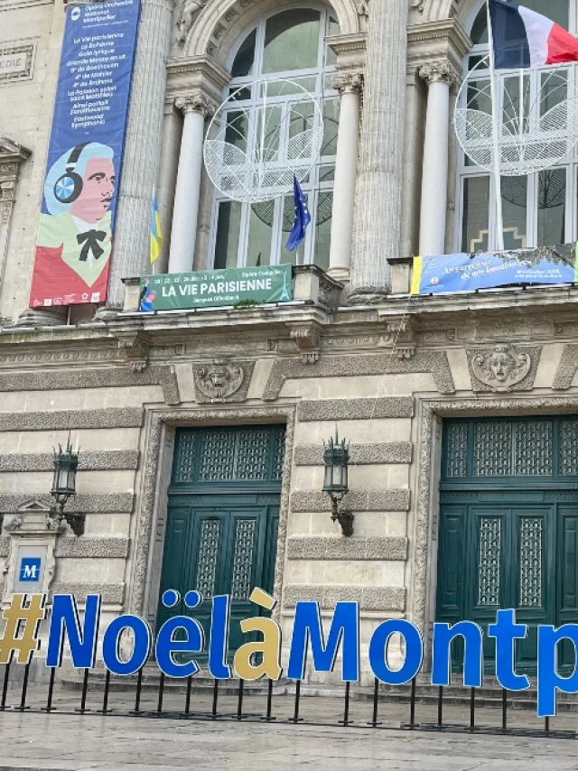 Noelmontpellier