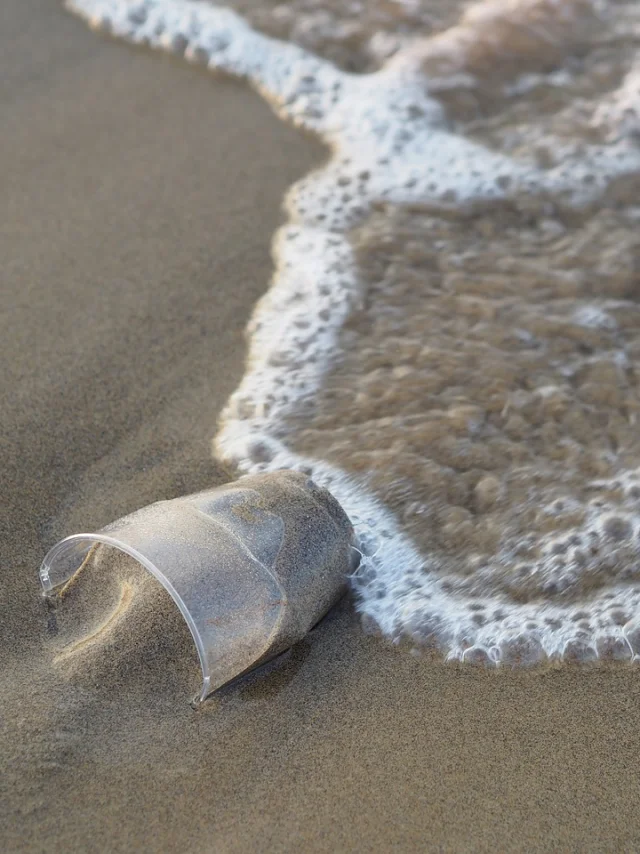 plastique à la mer